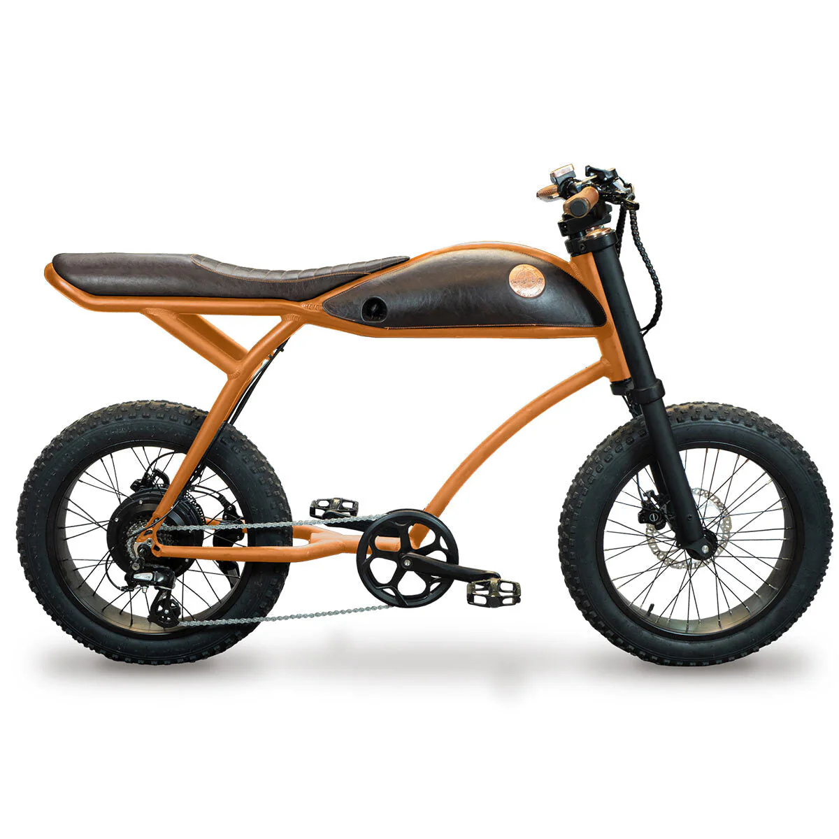 Rayvolt ringo e-bike lights leather bag set assistance first inspection - Image 3