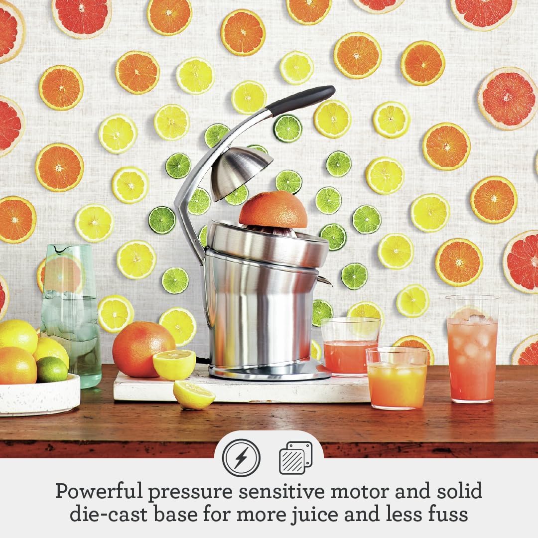 Sage - The Citrus Press Pro - Quiet Automatic Orange & Grapefruit Juicer - Lemon & Lime Squeezer - Acid-Resistant Die-Cast Stainless - Dishwasher Safe - Brushed Aluminium - Image 2